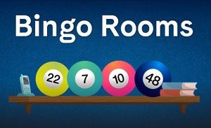 Holland Casino Bingo Kamers
